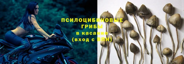 герыч Абаза