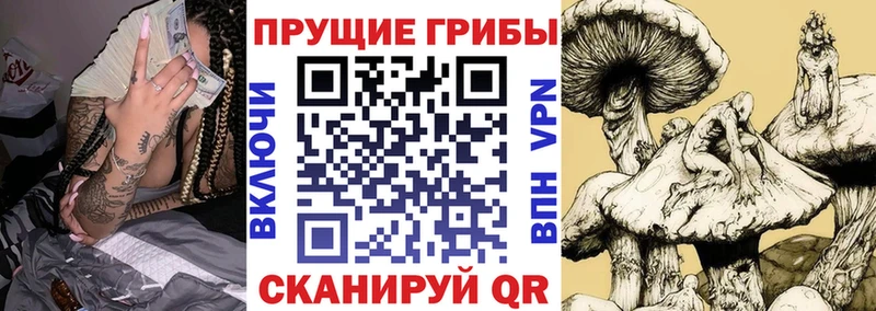 Псилоцибиновые грибы Psilocybine cubensis  продажа наркотиков  блэк спрут tor  Щёлкино 